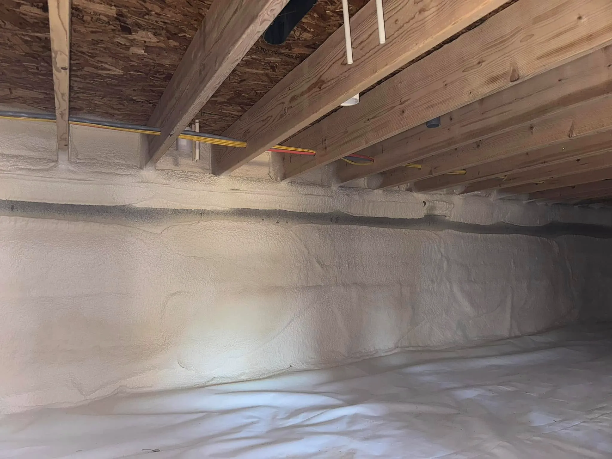 How Crawlspace Insulation Prevents Mold in Salisbury How Crawlspace Insulation Prevents Mold in Salisbury