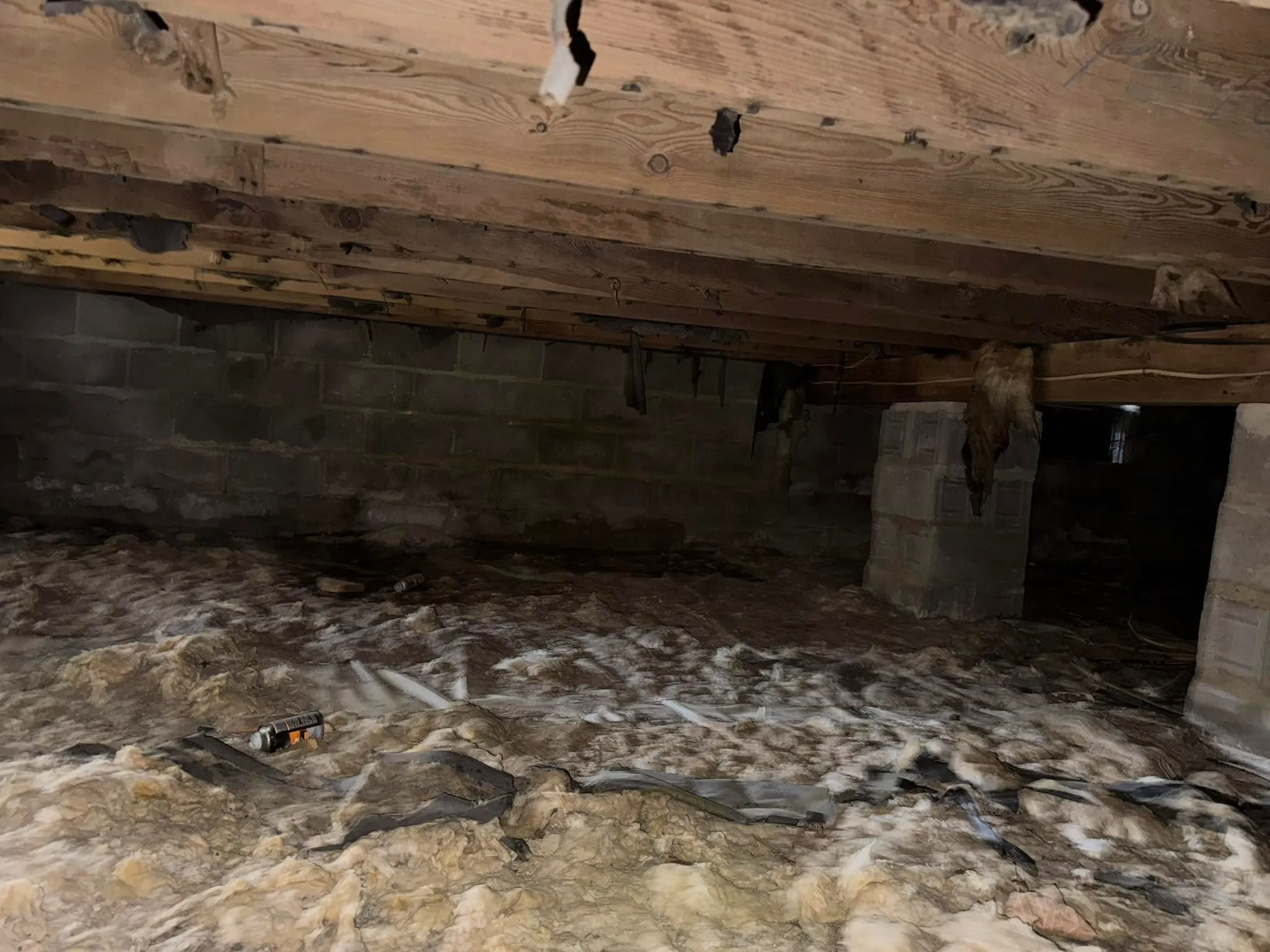 Crawl space moisture in Annapolis homes