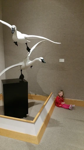 Ward Museum of Wildfowl Art