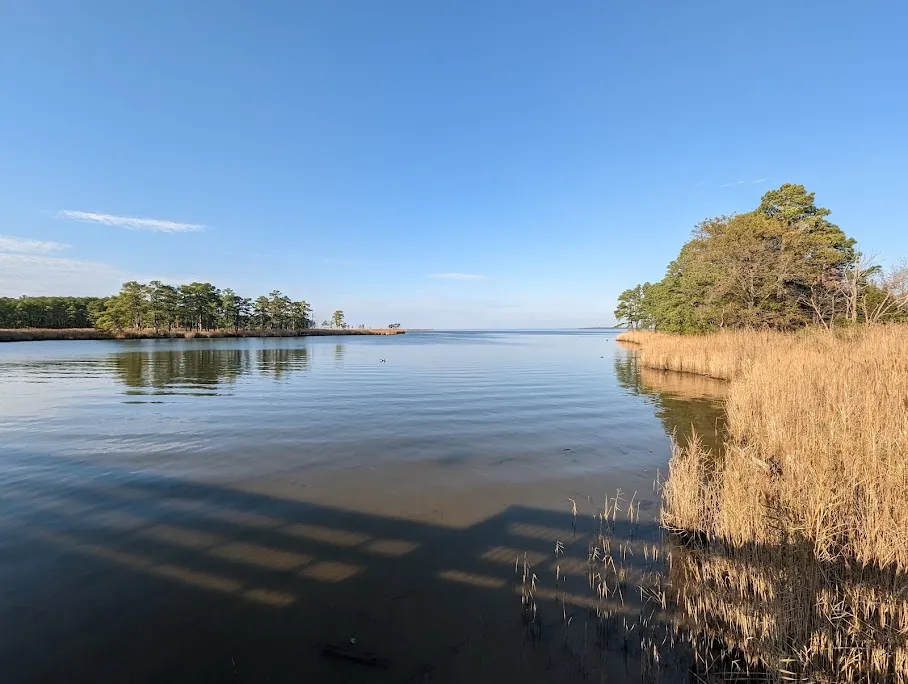 Salisbury University Arboretum