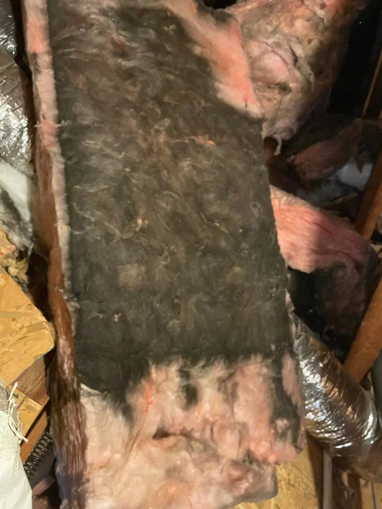 How Insulation Keeps Energy From Escaping Through Hidden Gaps How Insulation Keeps Energy From Escaping Through Hidden Gaps