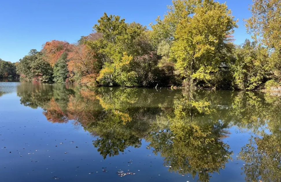 Ward Museum of Wildfowl Art
