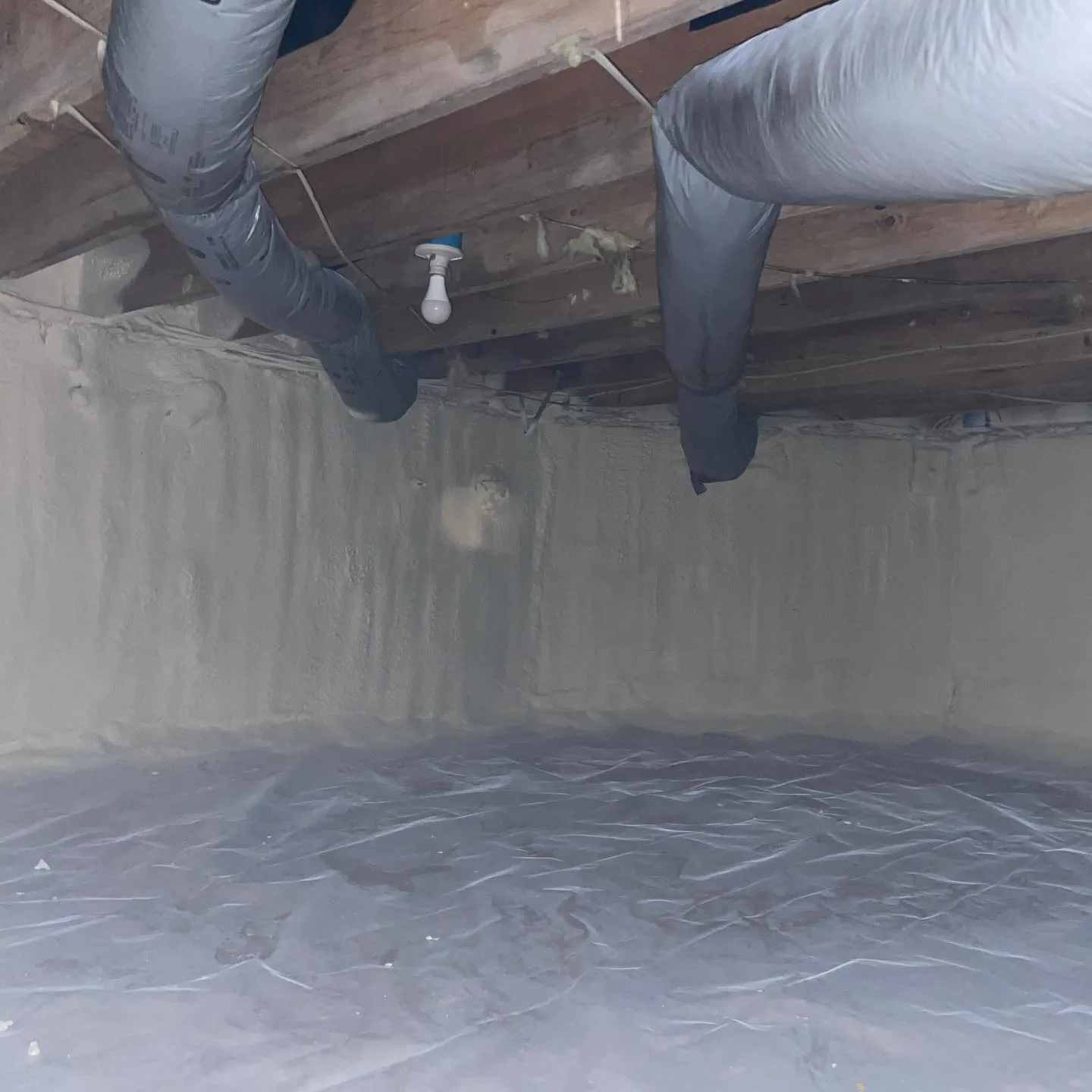 7 Ways Spray Foam Helps Keep Glen Burnie, MD Retail Spaces Comfortable for Customers 7 Ways Spray Foam Helps Keep Glen Burnie, MD Retail Spaces Comfortable for Customers