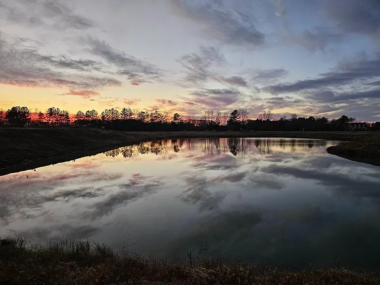 Salisbury University Arboretum