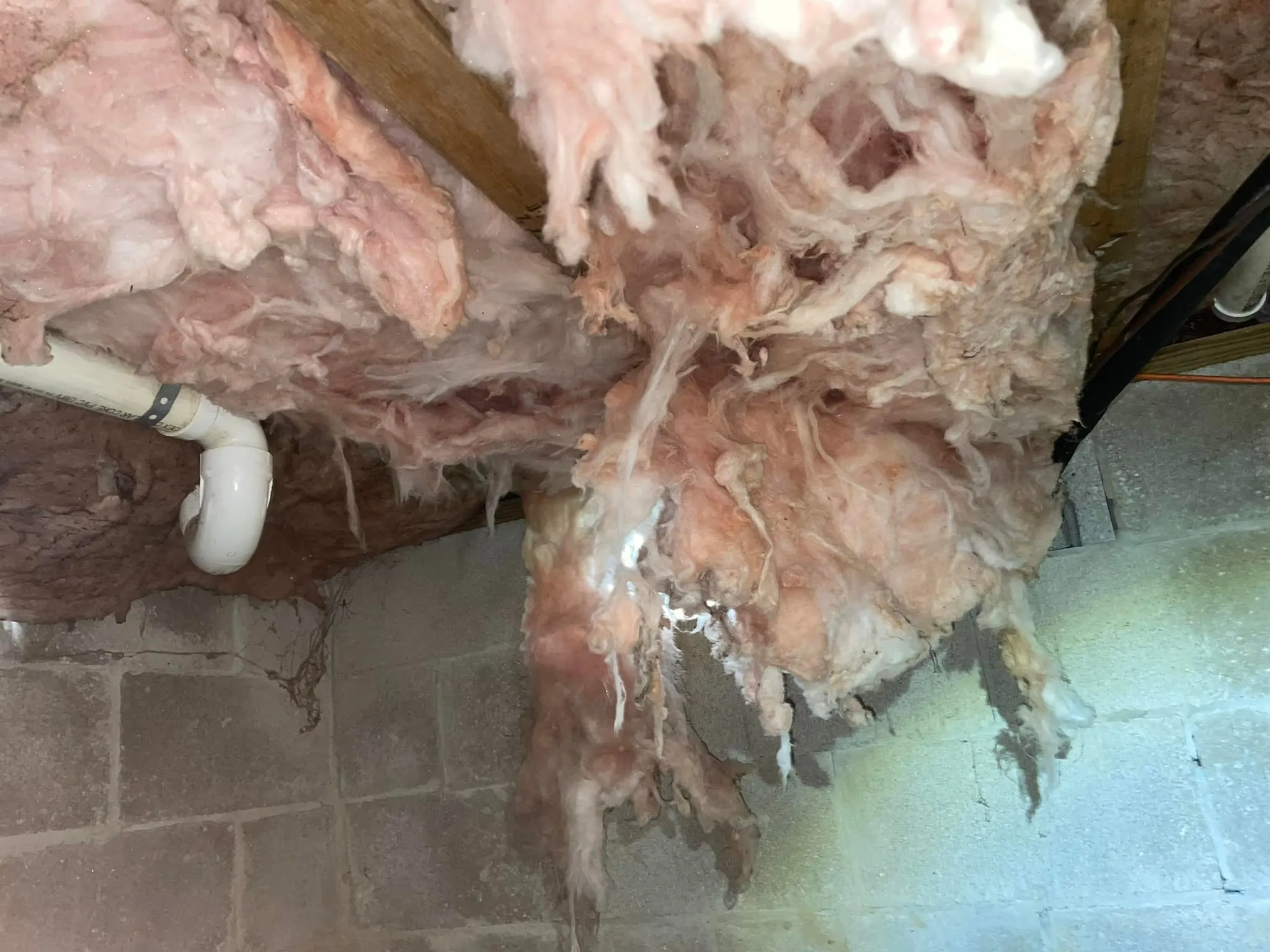 Why Insulation is Critical for Space With Open Floor Plans Why Insulation is Critical for Space With Open Floor Plans