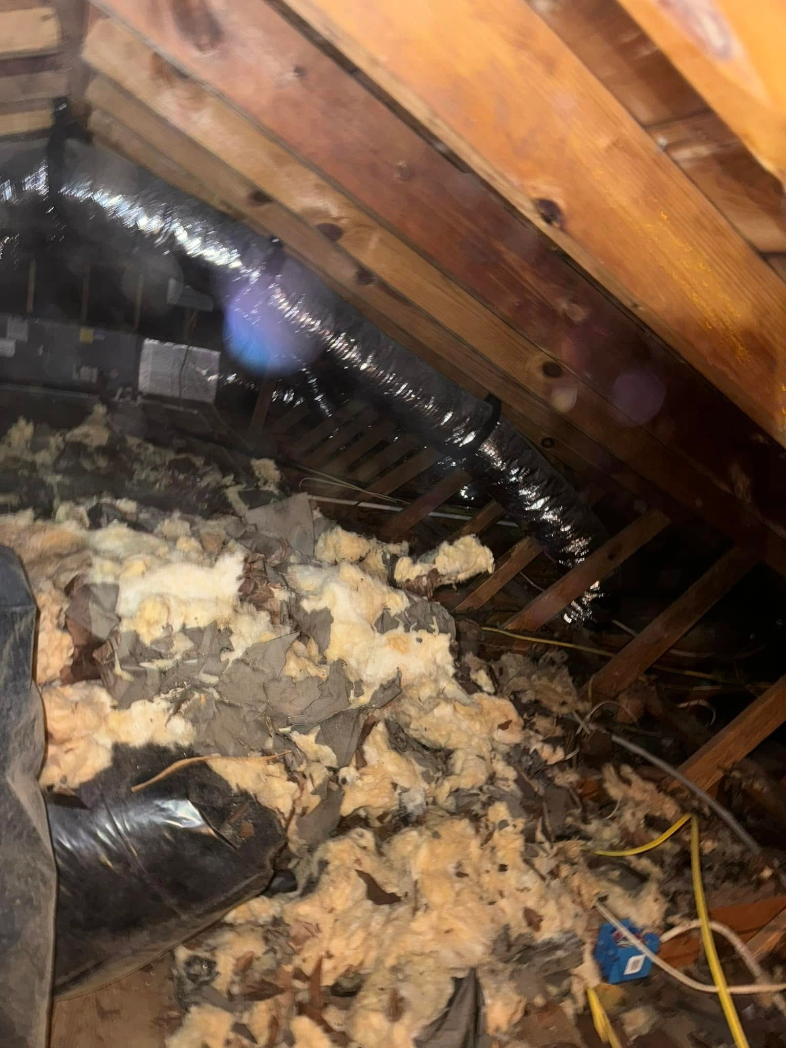 Insulation Company in Salisbury, MD