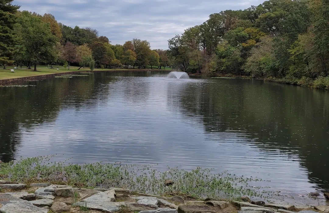 Salisbury University Arboretum